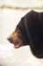 bdq010043_small.jpg
