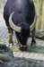 bdq010045_small.jpg