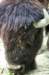 bdq010047_small.jpg