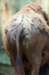 bdq010048_small.jpg