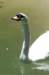 bdq010054_small.jpg