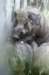 bdq010055_small.jpg