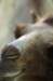 bdq010056_small.jpg