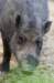 bdq010057_small.jpg