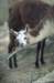 bdq010058_small.jpg