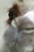 bdq010059_small.jpg