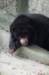 bdq010062_small.jpg