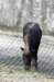 bdq010063_small.jpg