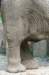 bdq010064_small.jpg