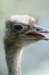 bdq010067_small.jpg