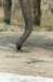 bdq010070_small.jpg