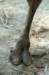 bdq010072_small.jpg