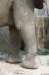 bdq010073_small.jpg