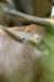 bdq010075_small.jpg