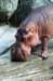 bdq010079_small.jpg