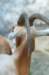 bdq010083_small.jpg