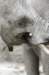 bdq010084_small.jpg