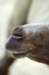 bdq010086_small.jpg
