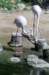 bdq010089_small.jpg