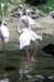 bdq010090_small.jpg