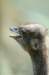 bdq010091_small.jpg