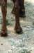 bdq010097_small.jpg