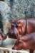 bdq010098_small.jpg