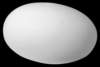 a091_small.jpg