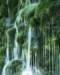mix36010_small.jpg