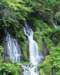 mix36015_small.jpg