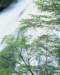 mix36021_small.jpg