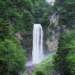 mix36025_small.jpg