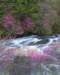 mix36036_small.jpg