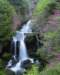 mix36037_small.jpg