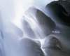 mix36042_small.jpg