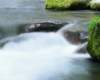 mix36055_small.jpg