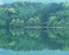 mix36094_small.jpg