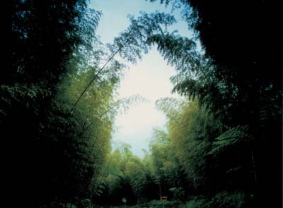 photo10.jpg