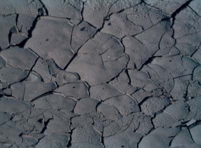 photo20.jpg