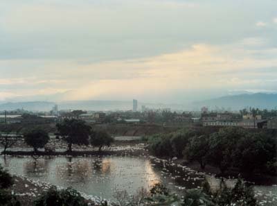 photo25.jpg