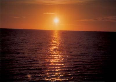 photo37.jpg