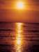 photo41_small.jpg