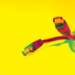 aib001055_small.jpg
