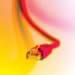 aib001056_small.jpg