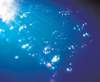 aib002001_small.jpg