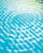 aib002048_small.jpg
