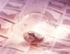 aib003056_small.jpg