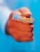 aib003099_small.jpg