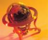 aib006009_small.jpg