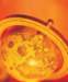 aib006014_small.jpg